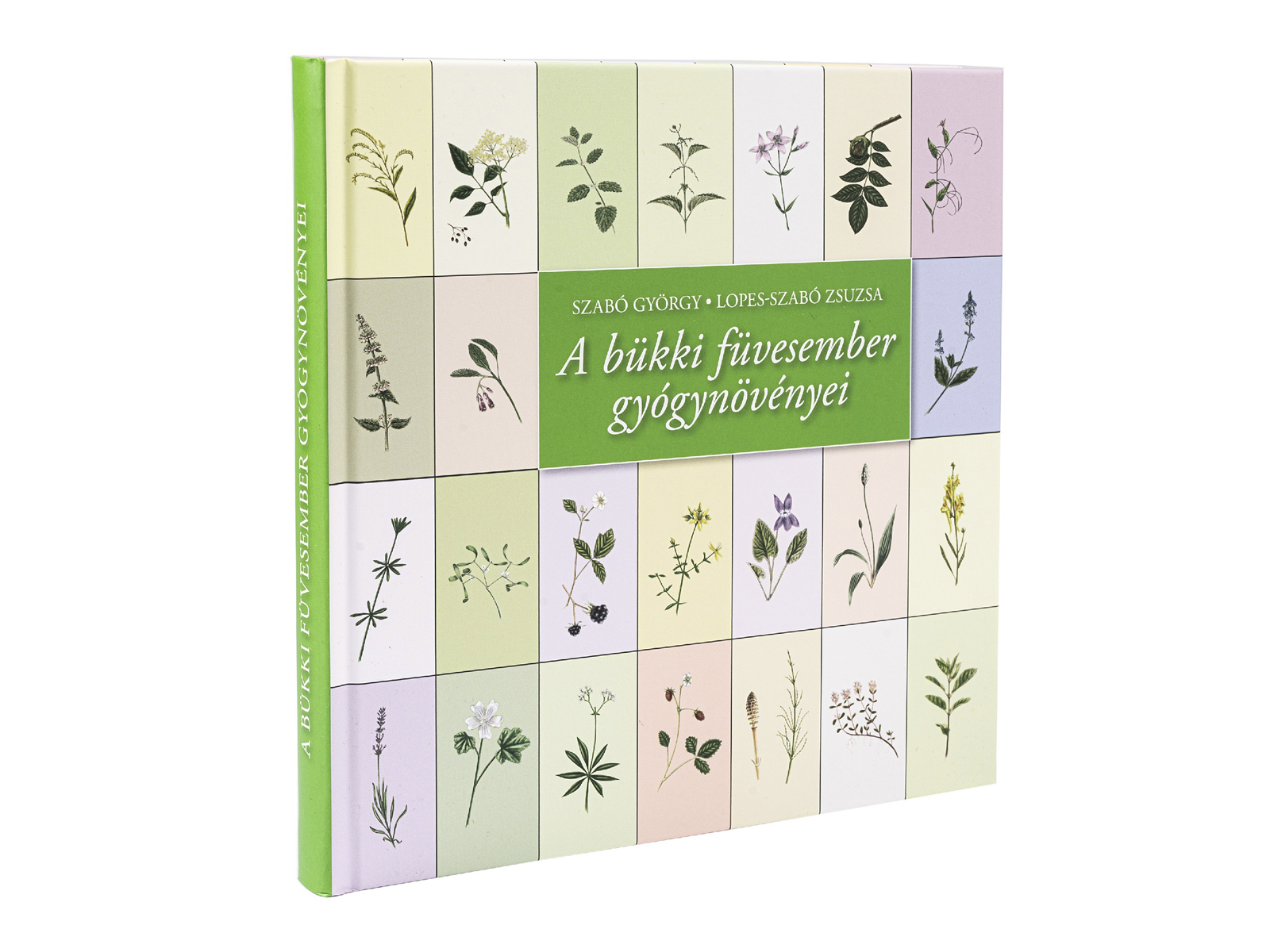 KÖNYV: A BÜKKI FÜVESEMBER GYÓGYNÖVÉNYEI