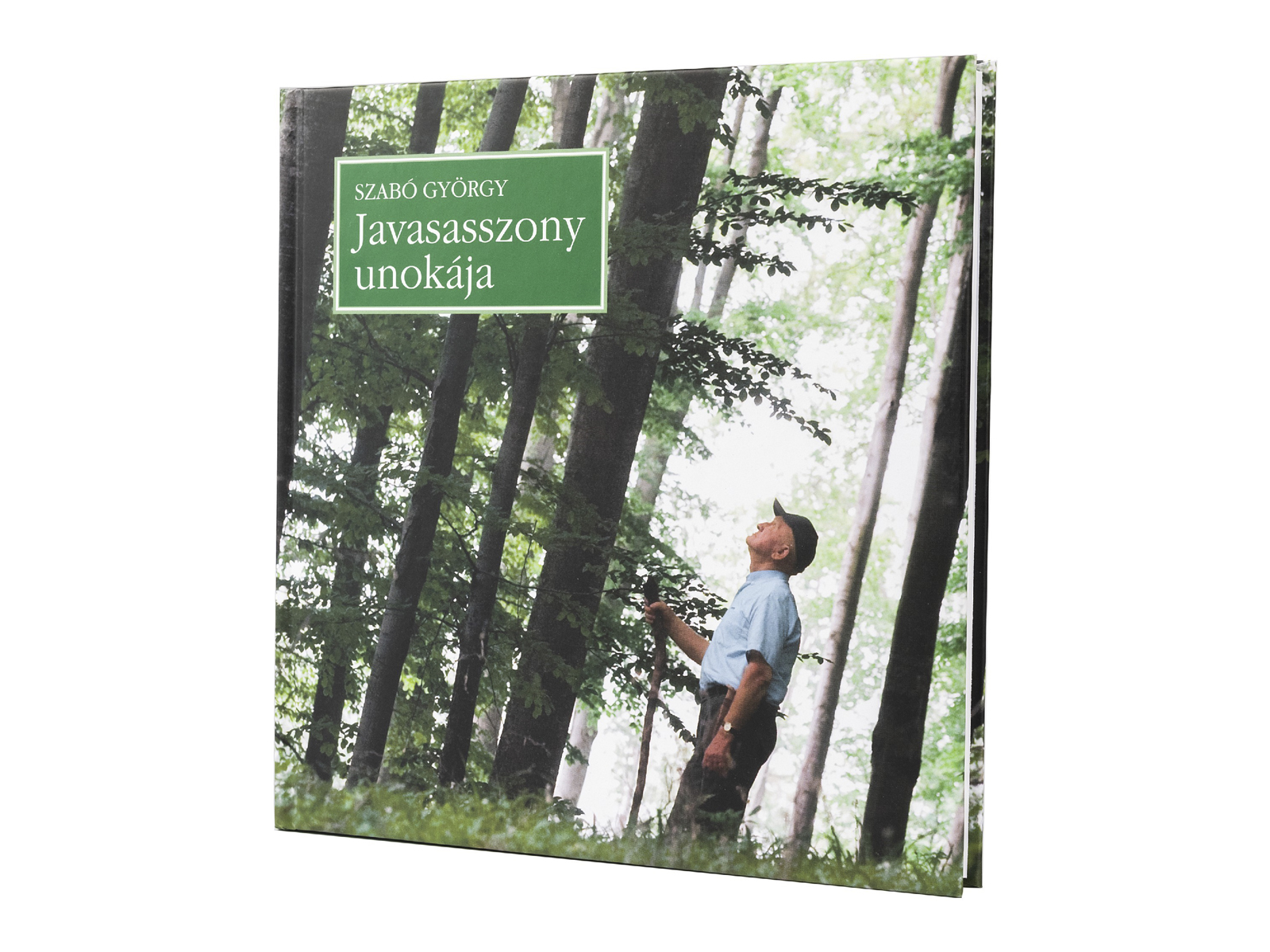 KÖNYV: JAVASASSZONY UNOKÁJA