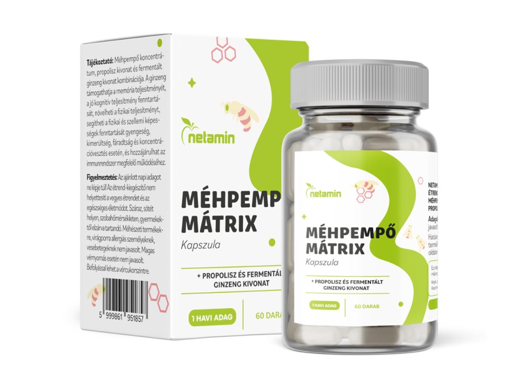 NETAMIN MÉHPEMPŐ MÁTRIX + PROPOLISZ ÉS FERMENTÁLT GINZENG KAPSZULA 60DB