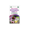 DR.CHEN INSTANT TEA BÍBOR KASVIRÁG ECHINACEA 12DB